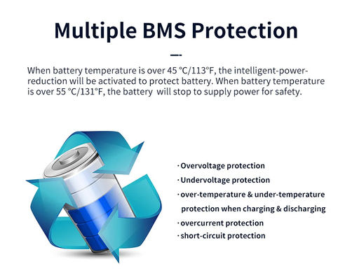 centrale elettrica portatile all'aperto di emergenza 1000W della batteria pura della sinusoide 220V
